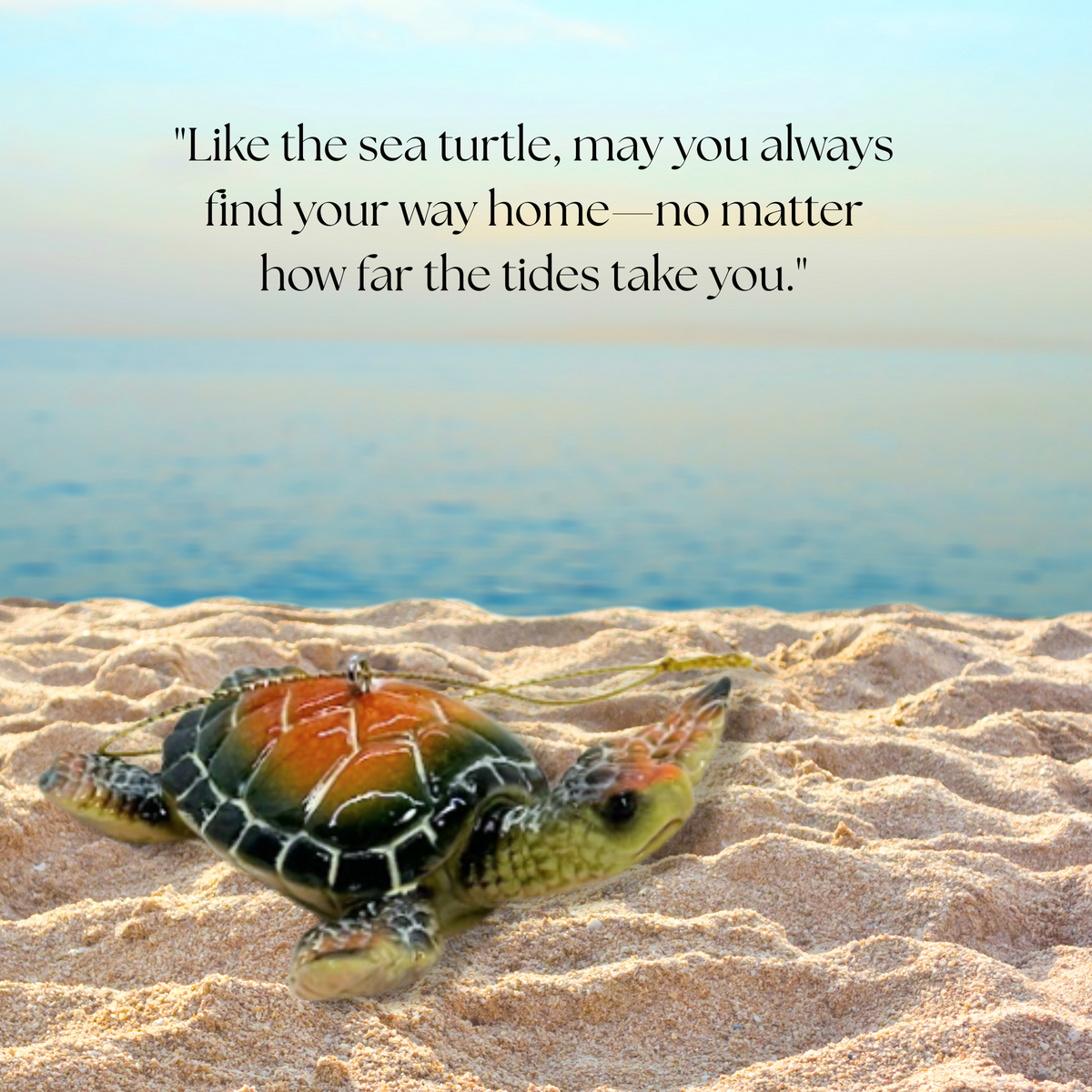 Sea Turtle Ornament - Gift Box