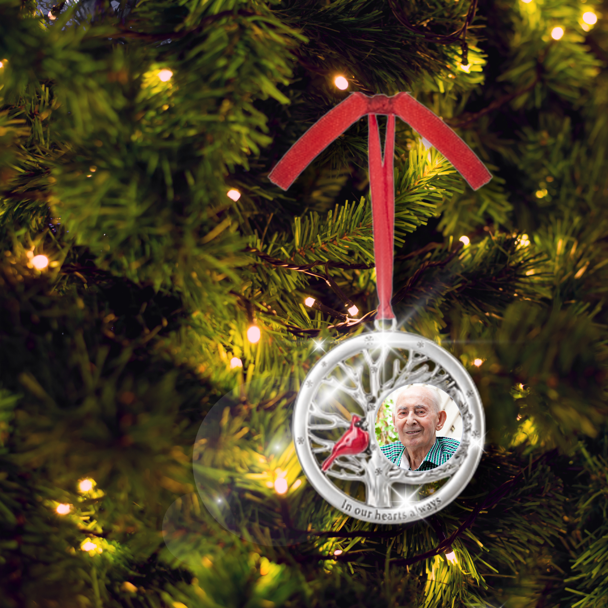 Cardinal Photo Frame Ornament - In Our Hearts Always