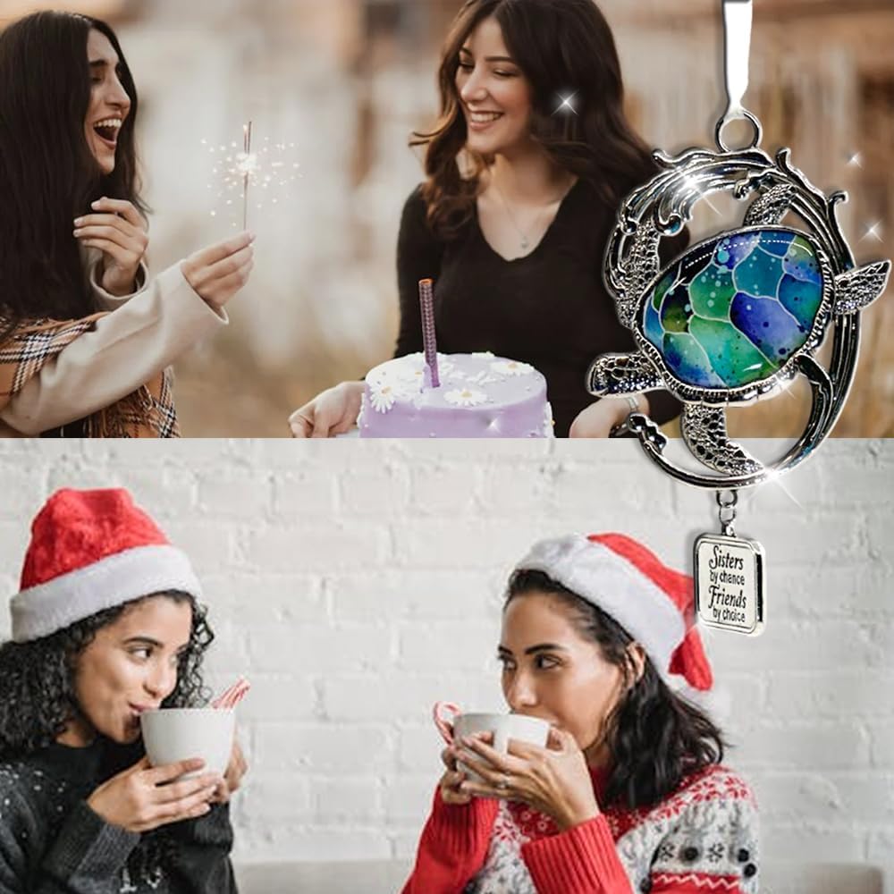 Sisters by Chance, Friends by Choice Turtle Ornament for Sister