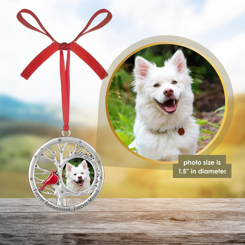 Cardinal Photo Frame Ornament - Forever Remembered