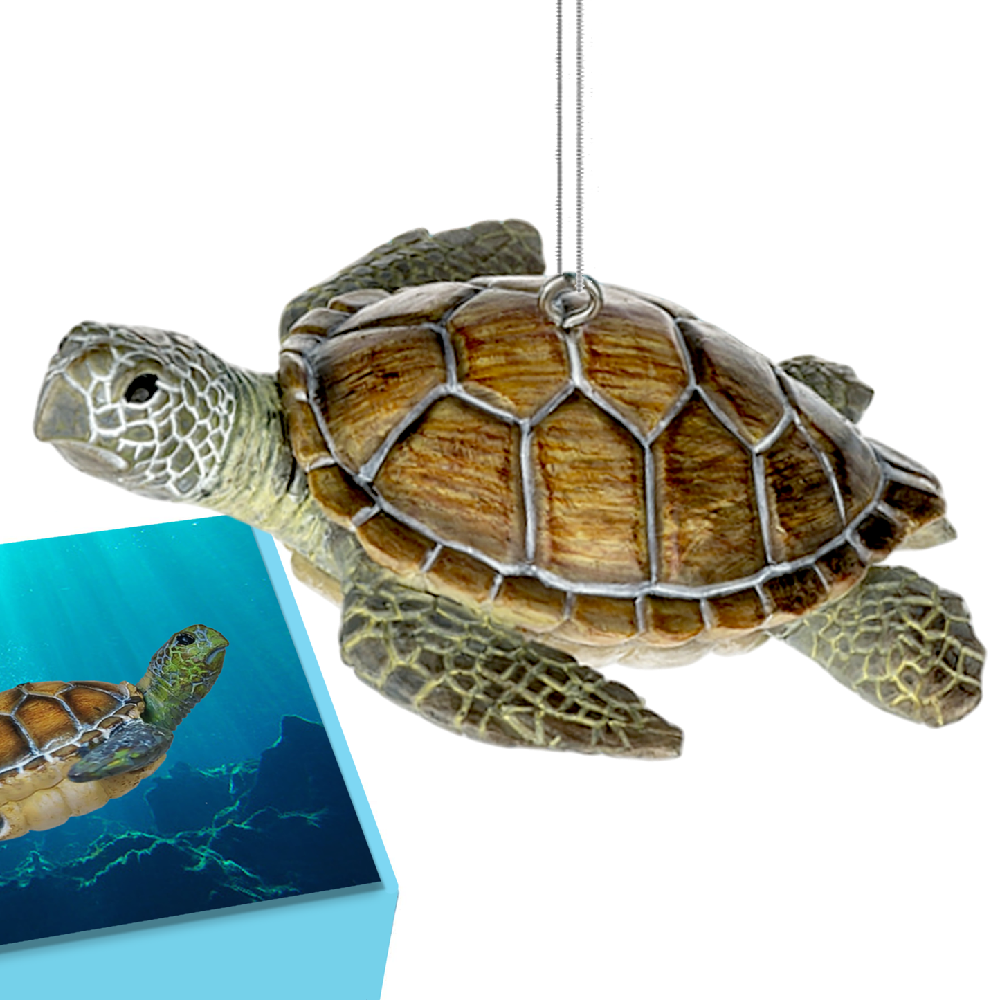 Sea Turtle Ornament in a Gift box